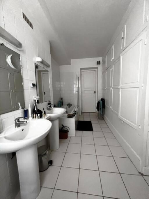 Amazing Flat Senat